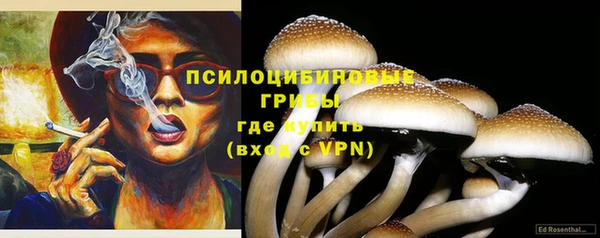 дживик Алексеевка