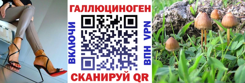 Псилоцибиновые грибы Psilocybe  где найти наркотики  Котовск 