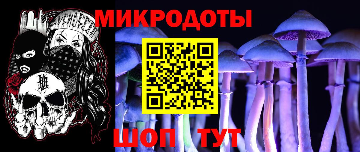 Псилоцибиновые грибы Psilocybe  Вход с VPN  Котовск 