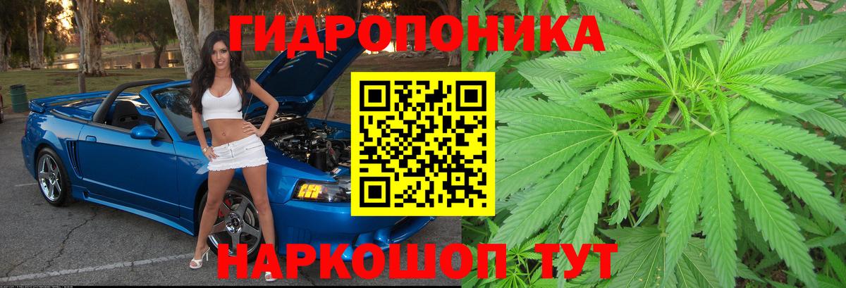 Бошки марихуана LSD WEED  Вход с VPN  Котовск  Каннабис гибрид  Канабис индика 